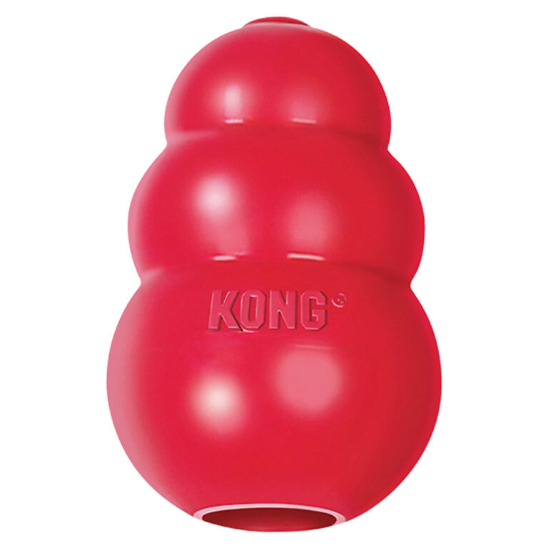 Featured Brand: KONG